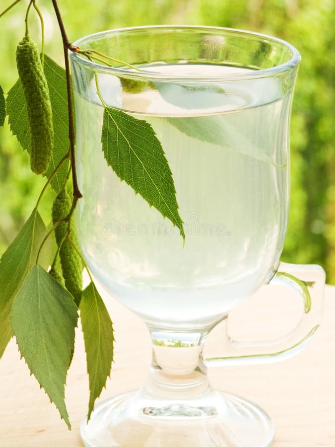 Birch sap stock photo. Image of juice, liquid, healthy 14514564