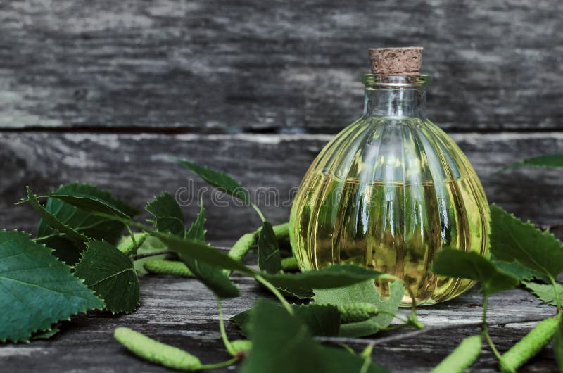 1,071 Birch Tree Juice Stock Photos Free & RoyaltyFree Stock Photos