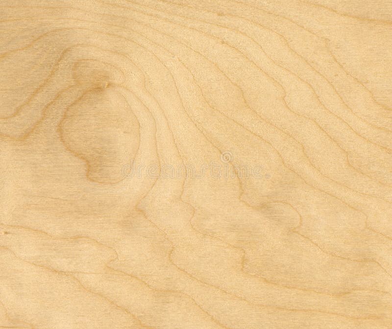 Birch Wood Background Royalty Free Stock Photo Image 2419255