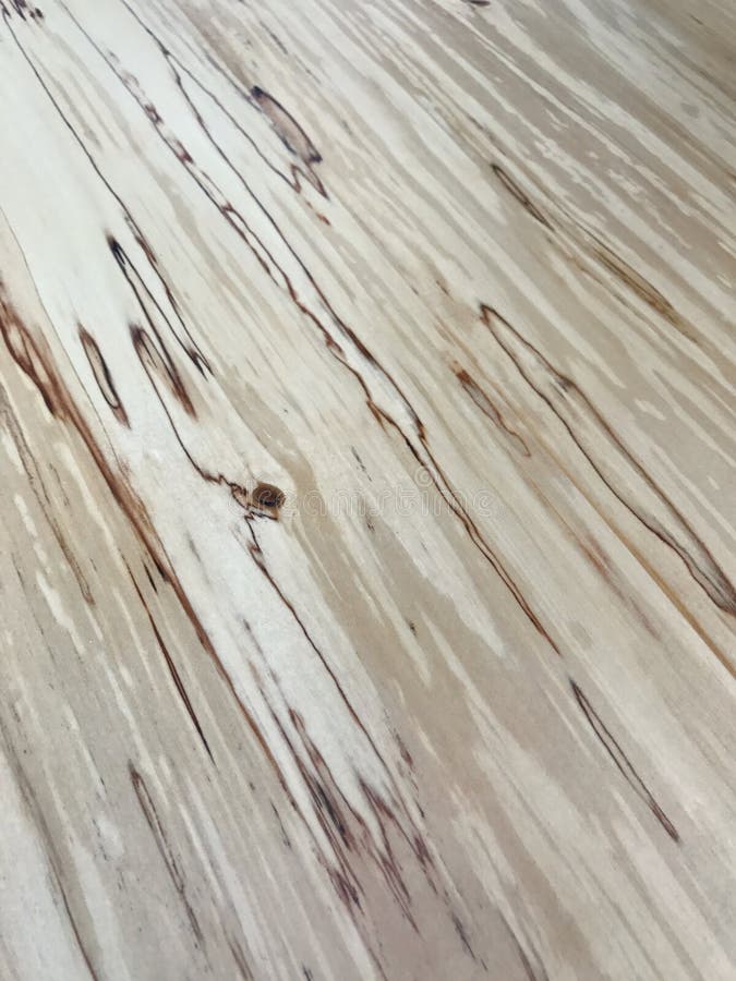 Birch wood grain close up stock photo. Image of birch 90463180