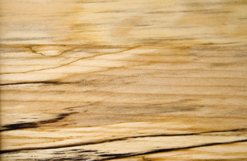 Birch Wood Grain With Dark Streaks Closeup Stock Photo Image 10846788