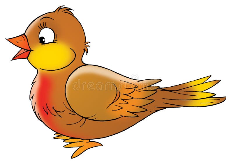 Bird vector illustration