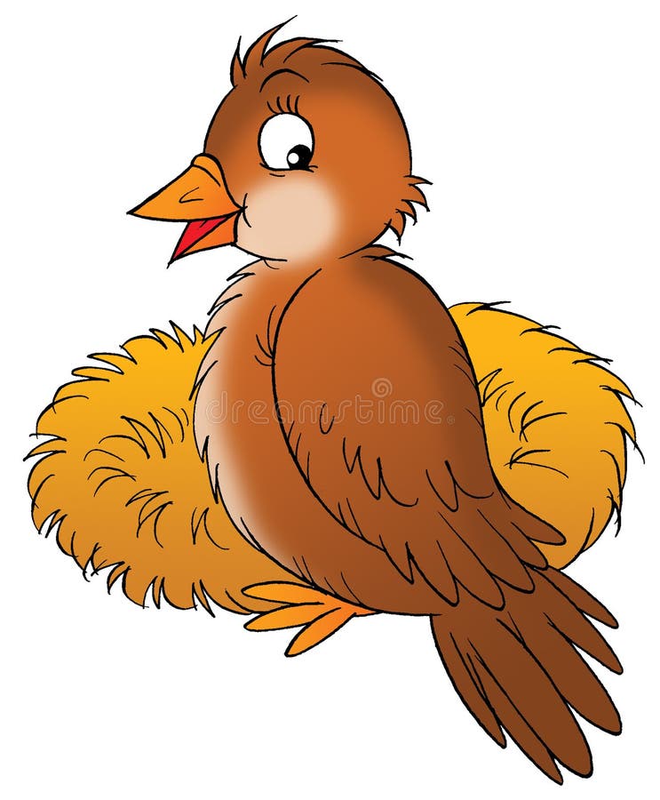 Bird vector illustration