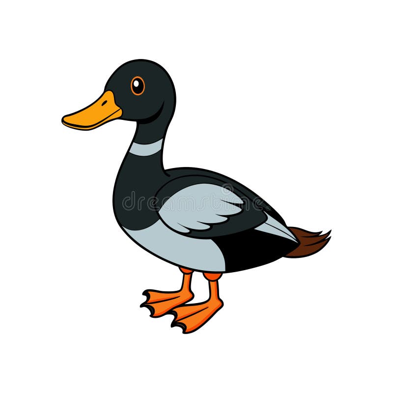 Bird Artwork der atemberaubenden BlackHeaded Duck vektor abbildung