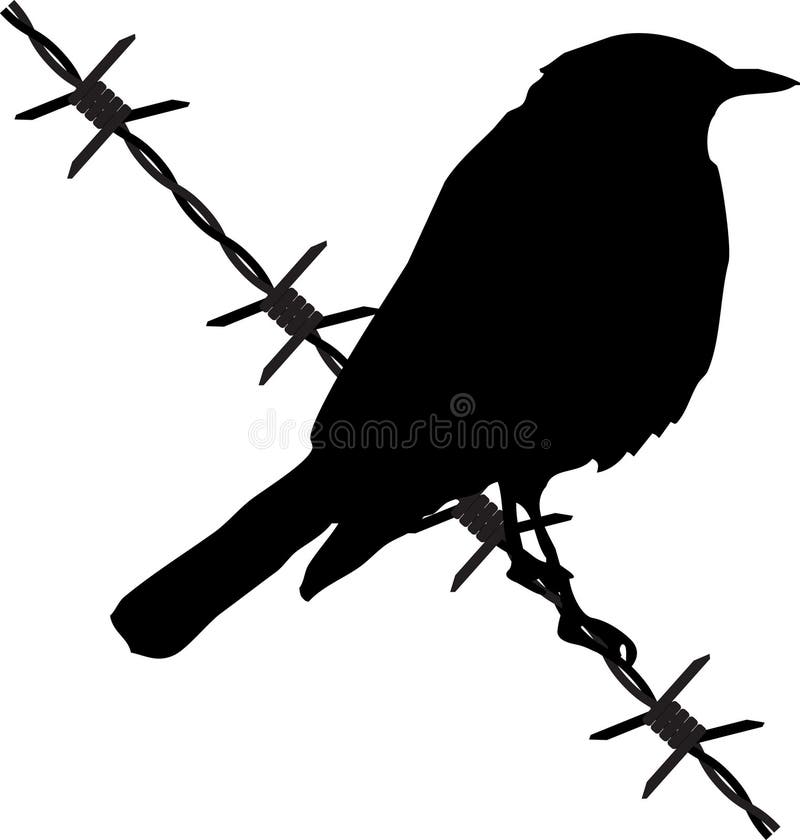 Bird on the barbed wire