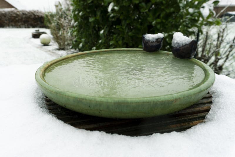 Bird Bath covered with snow