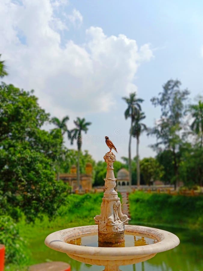 A Bird is on a Beautiful Stone Sculpture in Garden, India. Stock Image