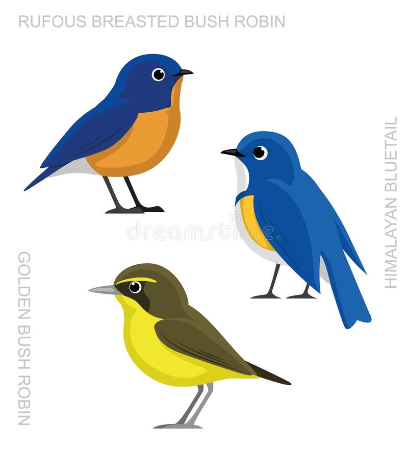 Bird Bluetail Set Cartoon Vector Illustration Stock Vector ...