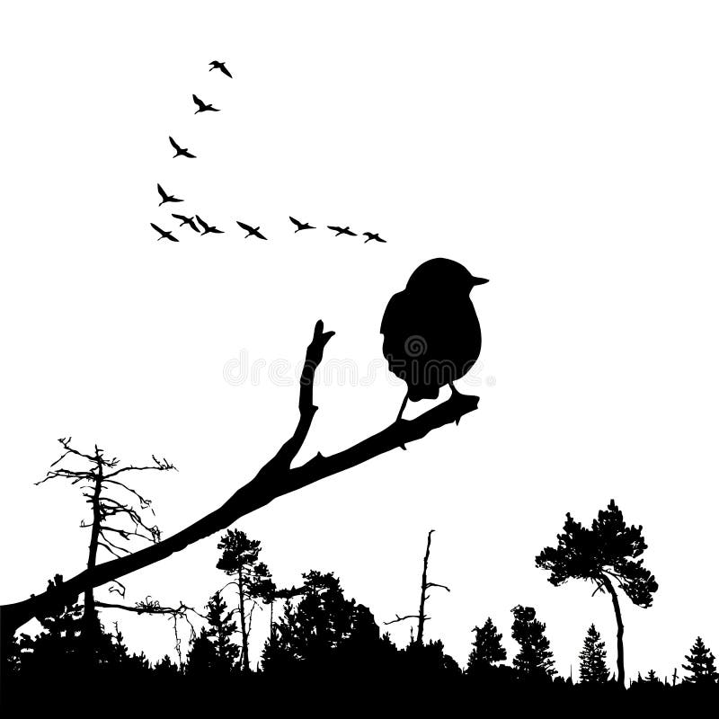 Bird on branch