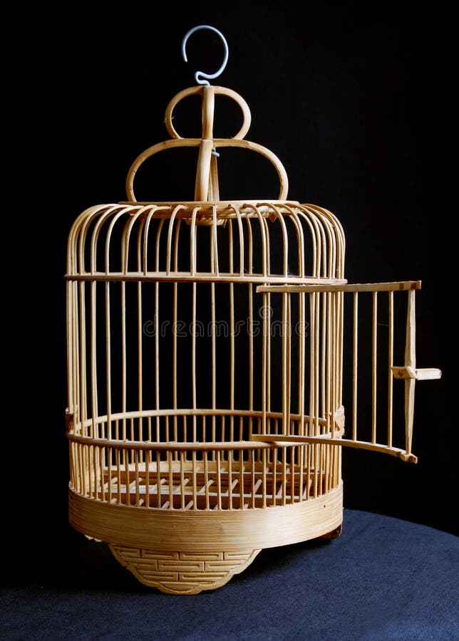 Hand Holding an Empty Cage. Absence of Ideas and Dreams. Freedom and