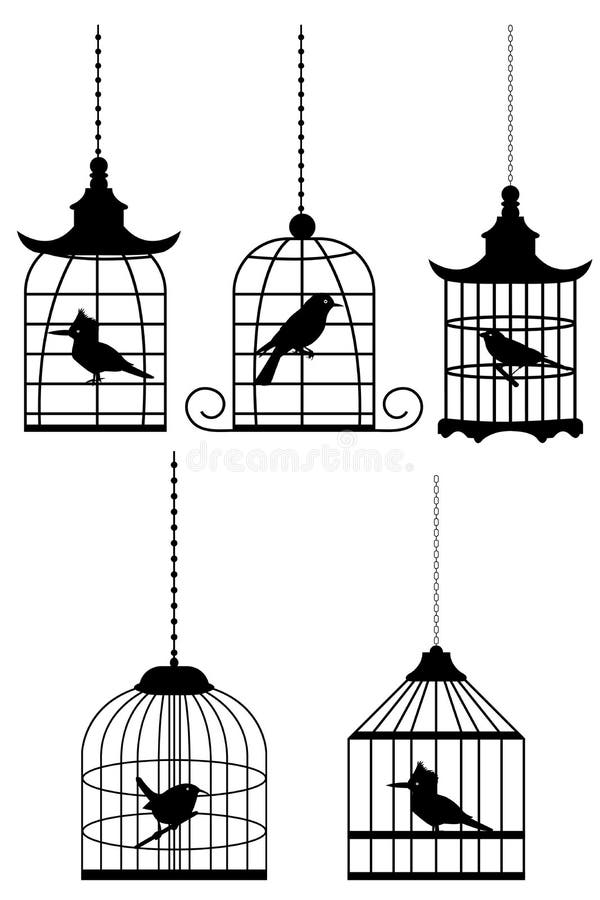 Bird in cage