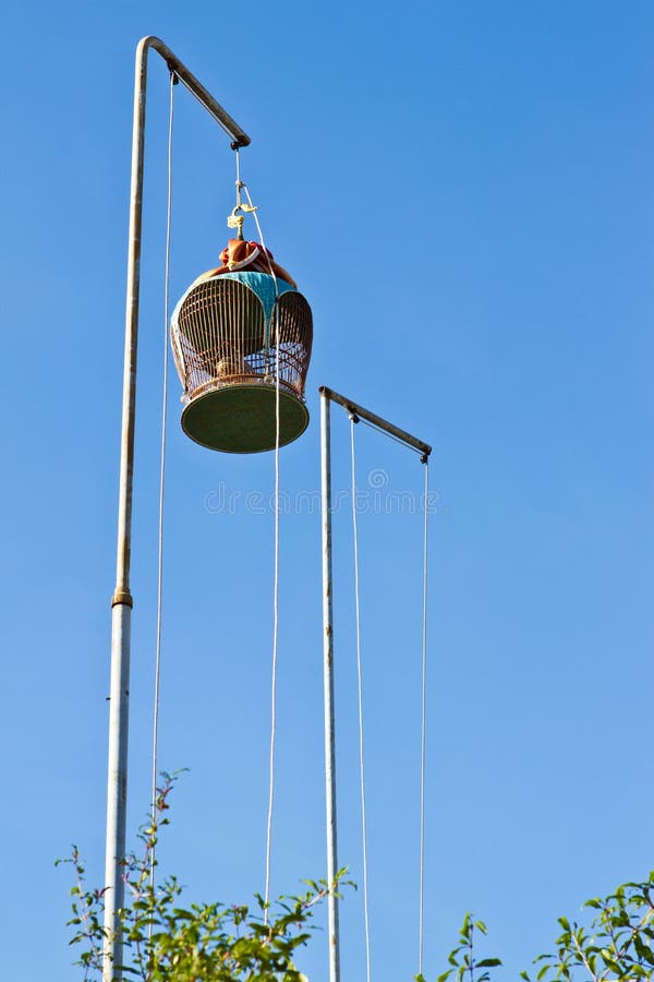 Bird cage stock image. Image of hanging, bars, animal 23215031