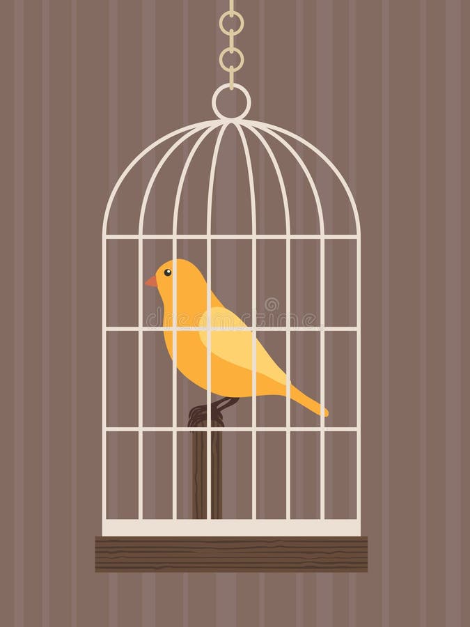 Bird in a cage stock vector. Illustration of white, birdcage - 9614411