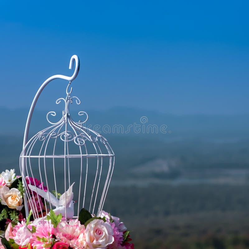Bird Cage White and Artificial Flowers Stock Image Image of elegance, bird 172711927
