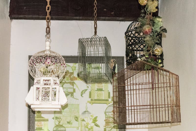 Bird Cages Hanging from the Ceiling Stock Image Image of beam, indian