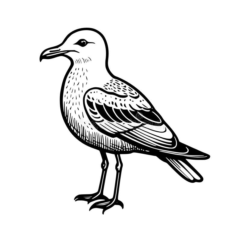 Bird cartoon hand drawn illustration royalty free illustration