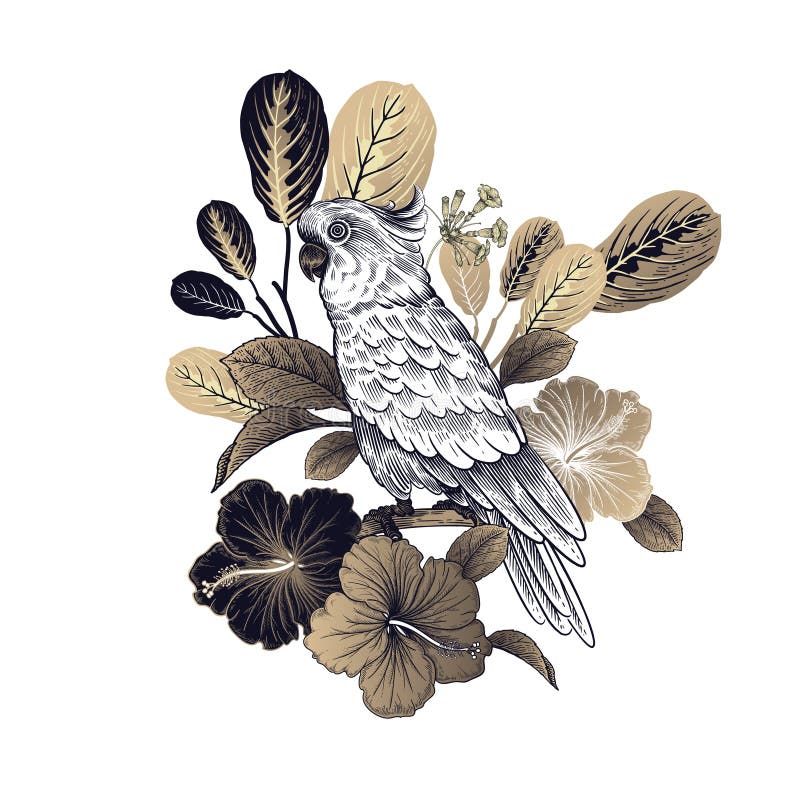 Bird cockatoo and tropical flowers isolated. Vector. Gold, black and white