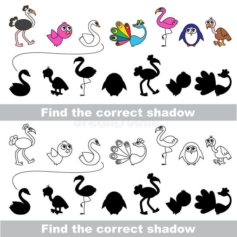 Bird collection. Find correct shadow. vector illustration Bird collection. Find correct shadow. vector illustration