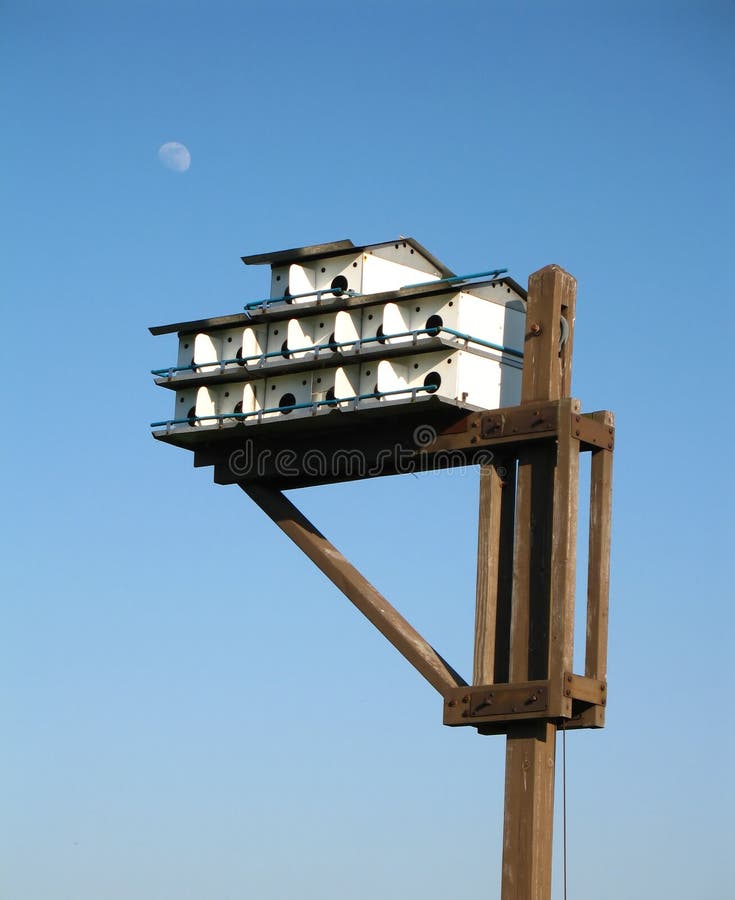 Bird condo