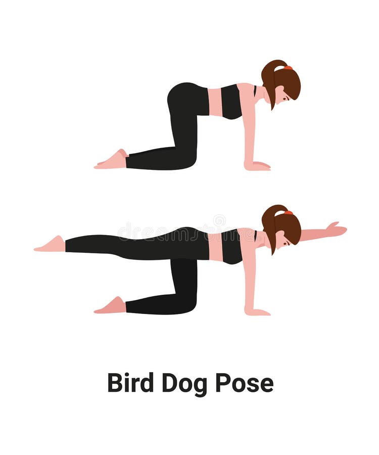 Bird dog yoga pose woman character