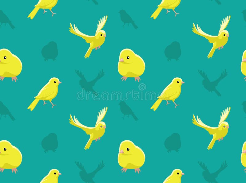 Canary canar bird green yellow pasari fir HD wallpaper  Peakpx