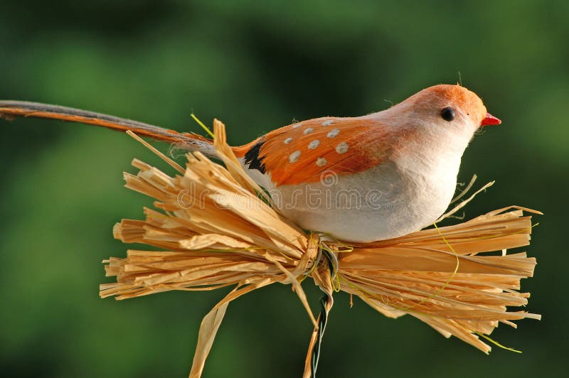 Bird dummy 2 stock photo. Image of animal, decoration, ventriloquist