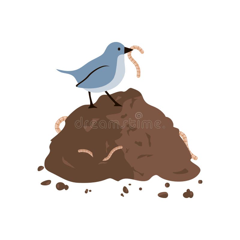 free clipart bird and worm