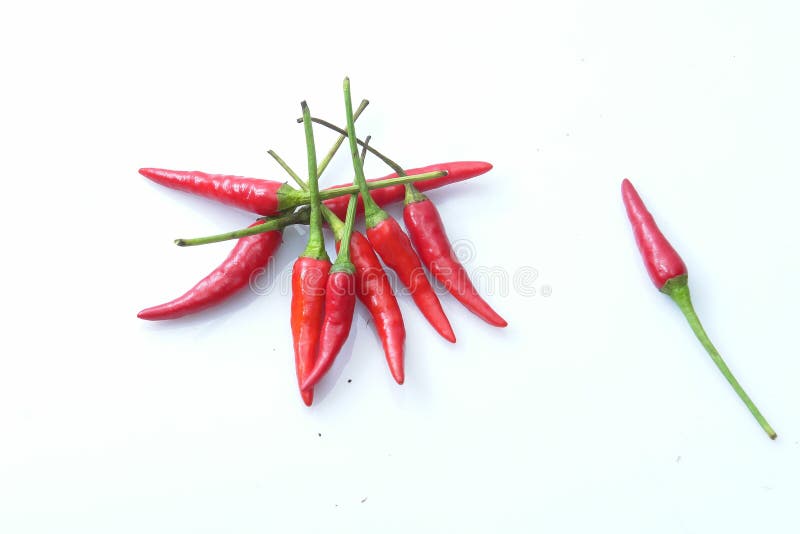 Un gruppo e un pc di uccelli occhi peperoncini che anche il nome peperoncino padi a S.