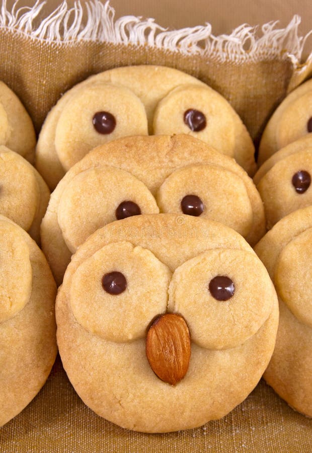 Bird face cookies stock image Bird face cookies stock image