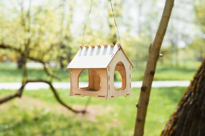 Bird feeder in the form of a house hanging on a tree. Park sunny summer day. Close-up of a small wooden birdhouse