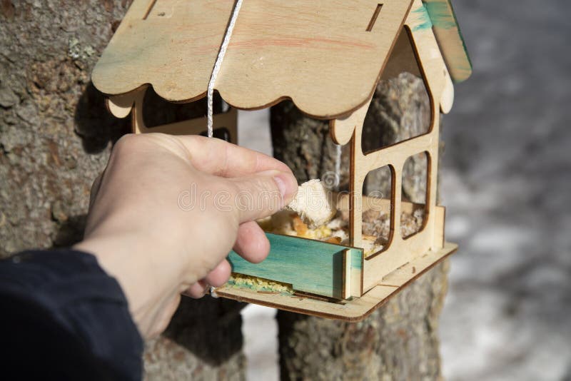 Bird Feeder in the Park.Taking Care of Animals in Winter Stock Photo