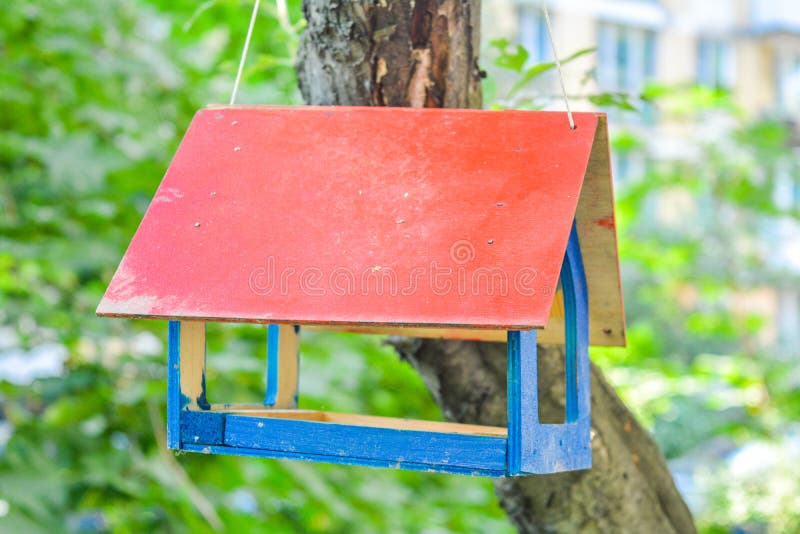 Bird Feeder on Tree in City Park Stock Photo Image of nature, light
