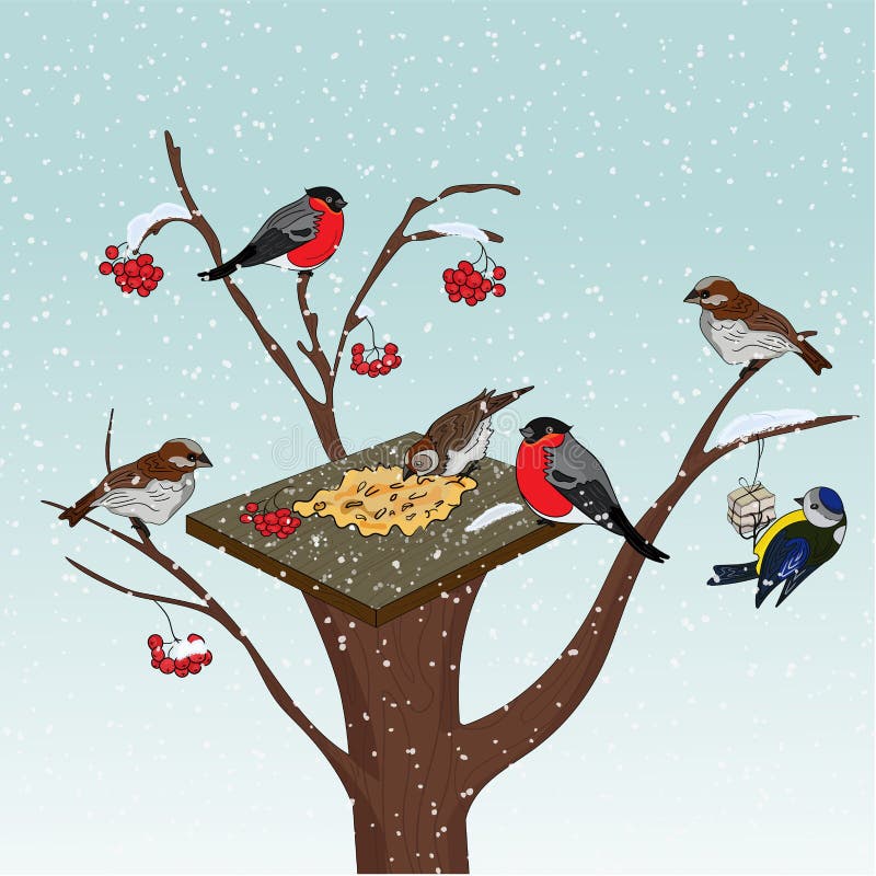 Bird feeder on a tree. Cold winter. Feed the birds in the cold