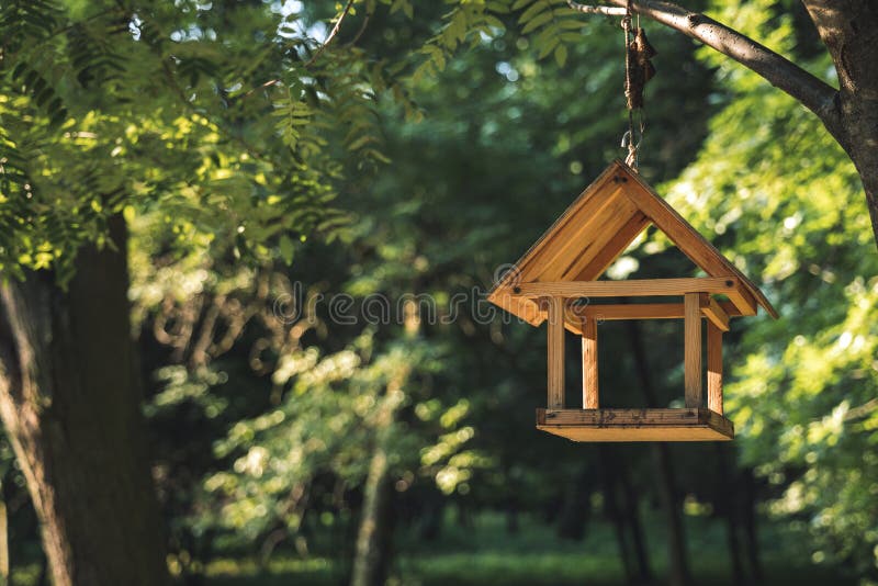 Bird feeder wooden object for seeds hanging on a tree branch on unfocused green natural park background, animal care concept