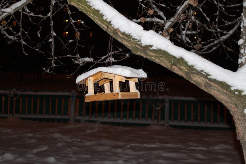 Bird feeders stock image. Image of care, winter, outdoors 84724003