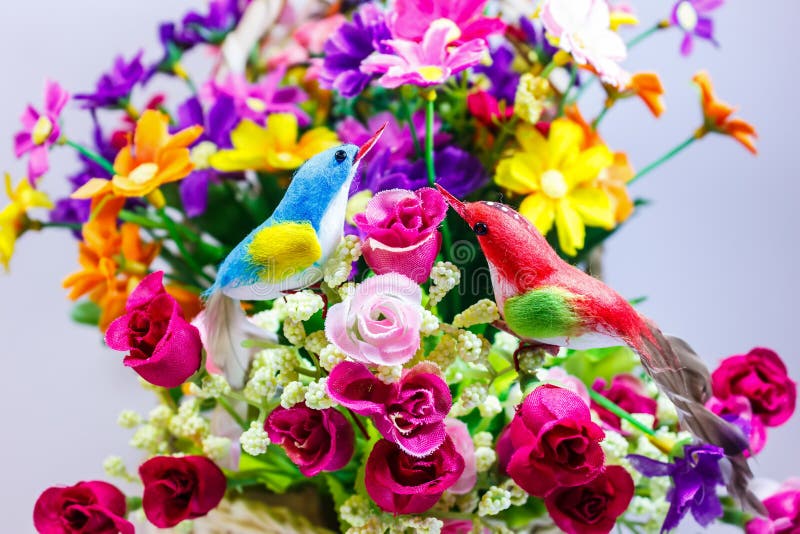 Bird And Flower Stock Image Image Of Male Blossom Beauty Bird And Flower Stock Image Image Of Male Blossom Beauty