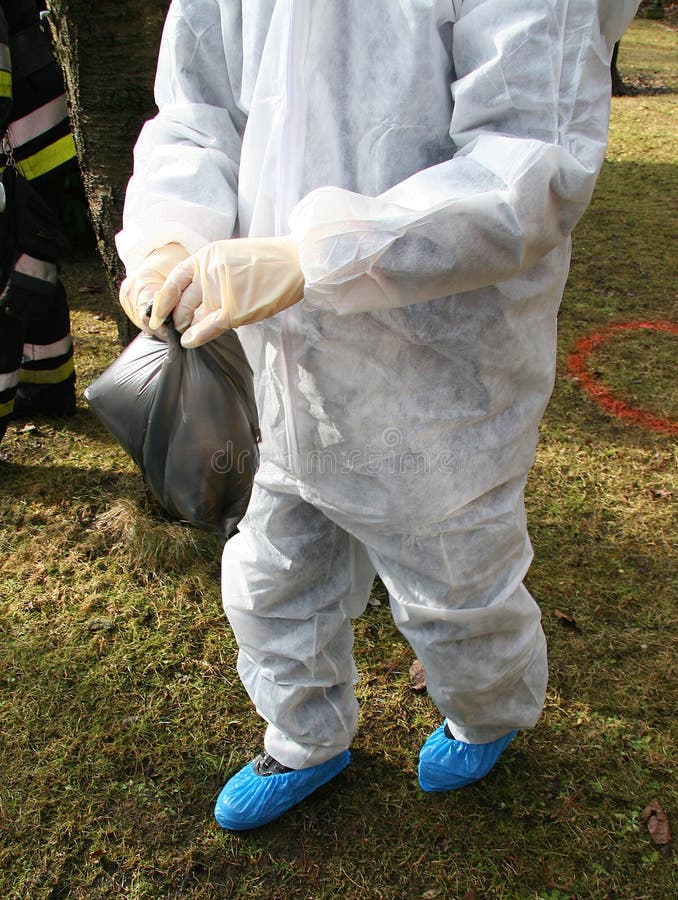 Hombre en en general contracciones plumas de observación de aves cadáver introducción es un en el plastico bolsa sobre el un piso gripe aviar (alemania) 