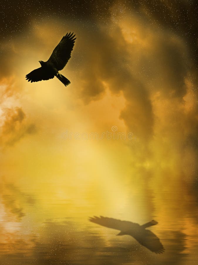 Bird flying royalty free stock photography