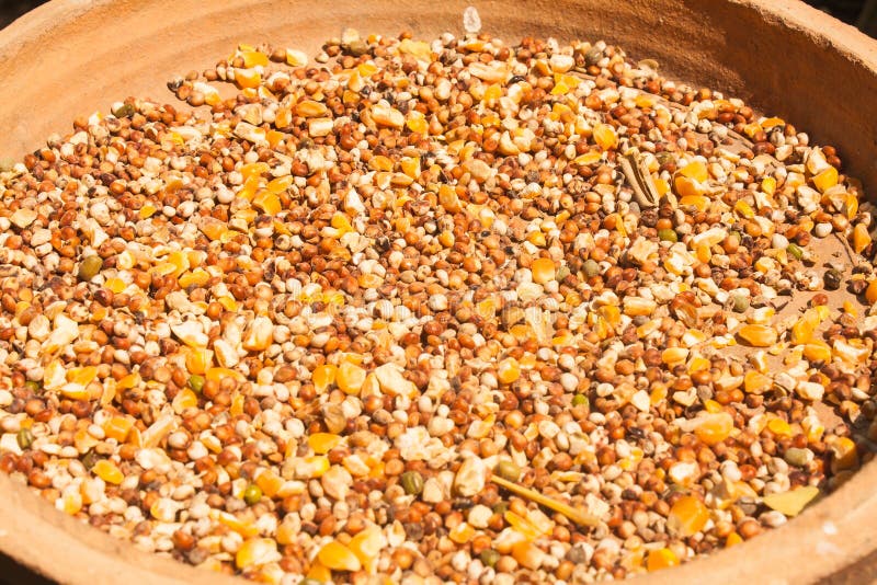 Taurus15 Photographer profile