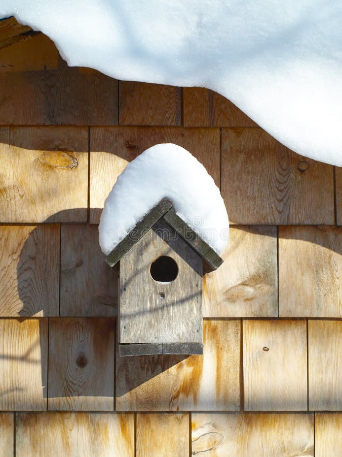 bird house