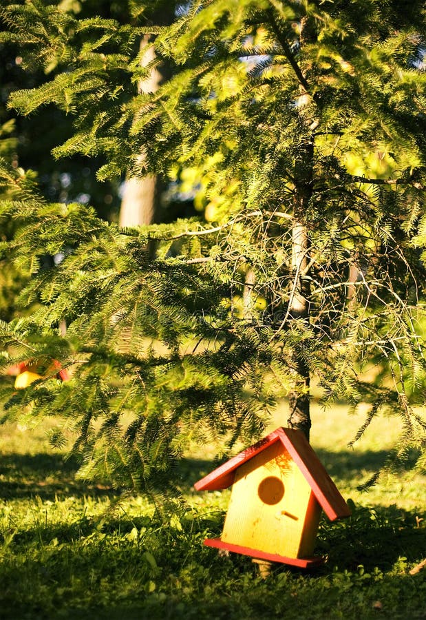 Bird house stock photo. Image of colorful, identical 26416744