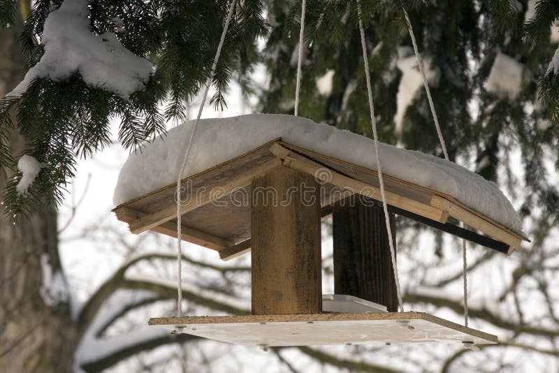 Bird house