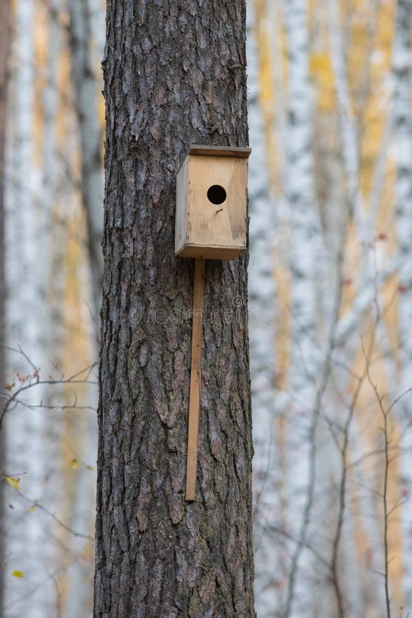 Bird house hanging from the tree with the entrance hole in the shape of a circle in autumn forest stock image Bird house hanging from the tree with the entrance hole in the shape of a circle in autumn forest stock image