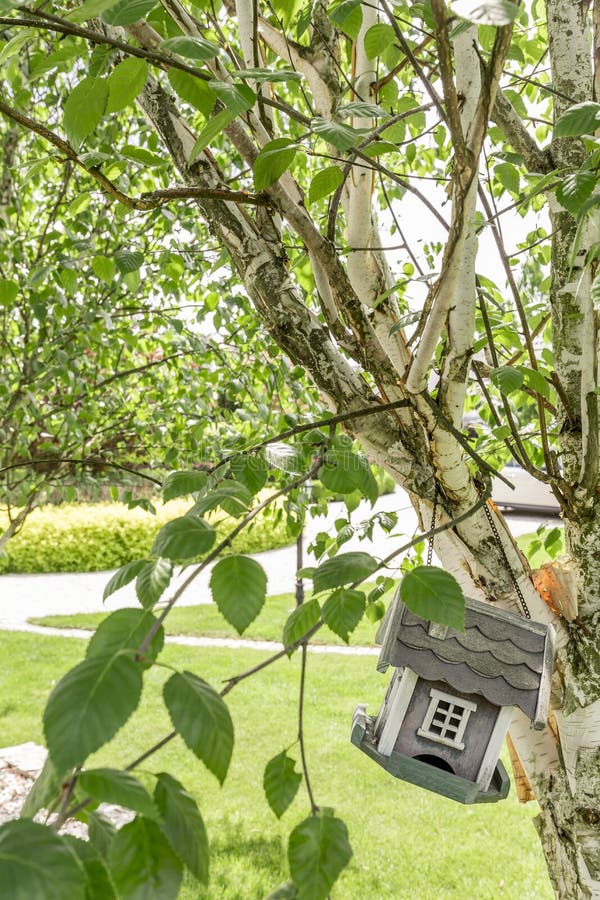 Bird house suspended on tree