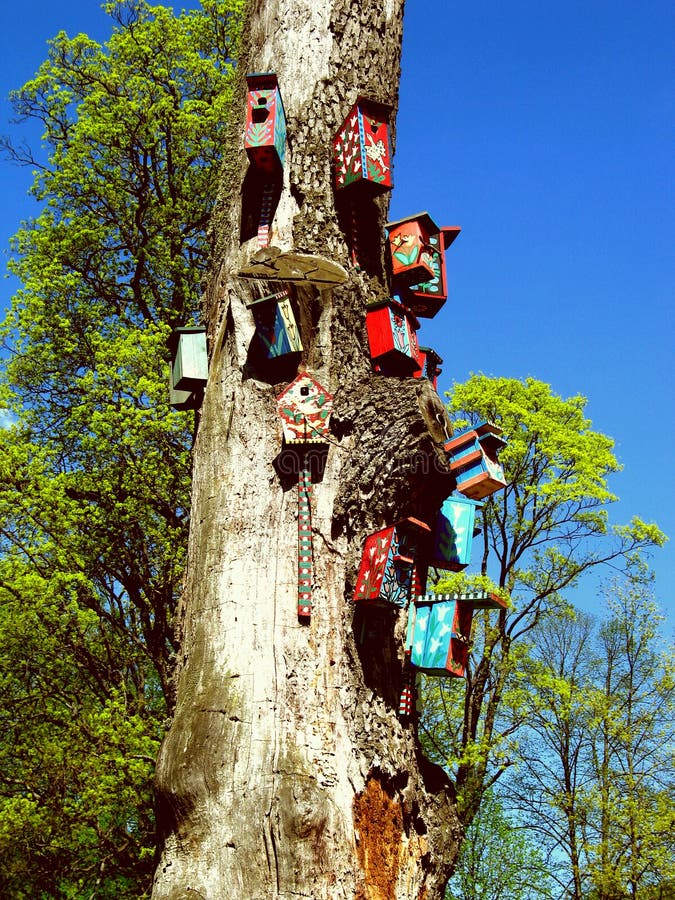 Bird houses on tree stock photo. Image of nature, nesting 