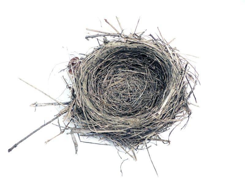 483,452 Bird Nest Royalty-Free Images, Stock Photos & Pictures