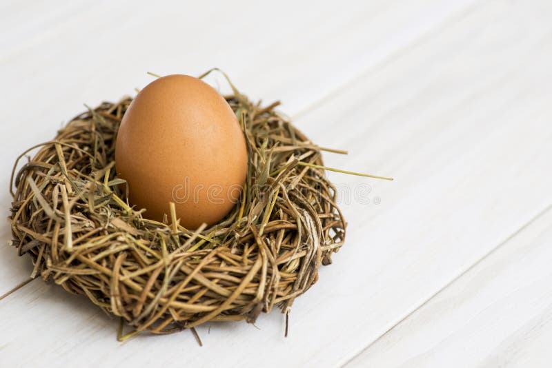 Bird Nest with Big Egg on White Wooden Background. Egg in Nest on White