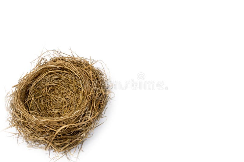 Bird Nest in Corner with the Focus in the Center of the Nest