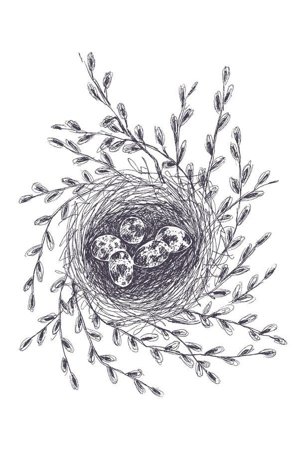 Vector Illustration Of Hand Drawn Nest With Spotted Eggs And