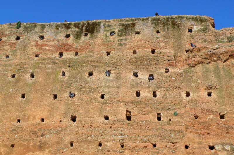 Bird Nests in the Medieval Brown Stone Wall, Morocco